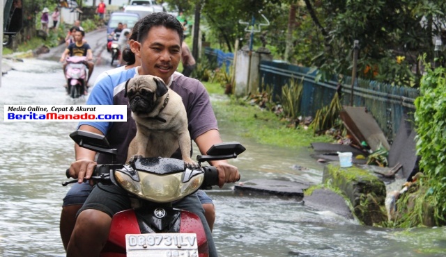 Anjing dan banjir di Sawangan 3