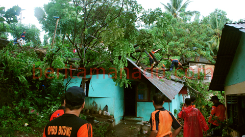 Rumah yang tertimpa pohon di Pateten 3 (foto beritamanado)