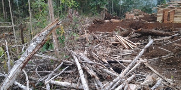 Lahan Transmirasi Liandok, Kecamatan Tompasobaru, Minahasa Selatan (Minsel)
