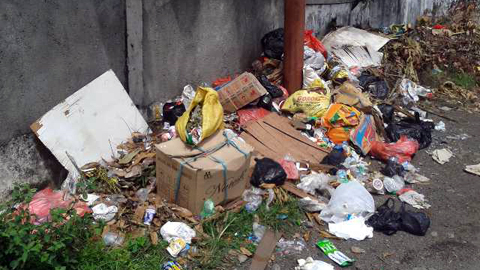 Tumpukan sampah di belakang balai Kantor Lurah Paceda (foto ist)