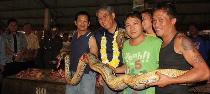 Wamen 'disuguhi' ular yang dijual para pedagang di Pasar Beriman Tomohon.
