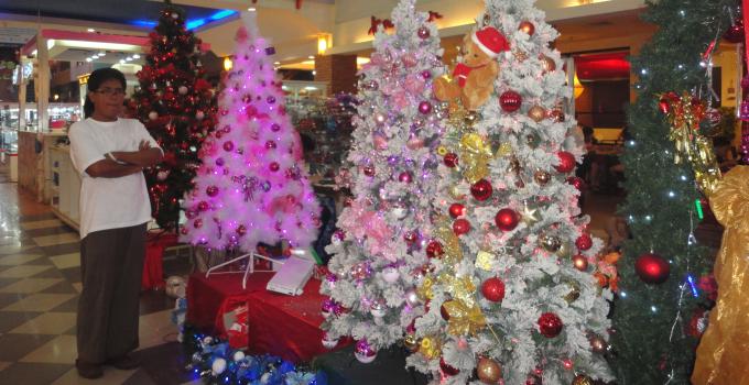 Aneka pohon Natal (foto beritamanado.com)