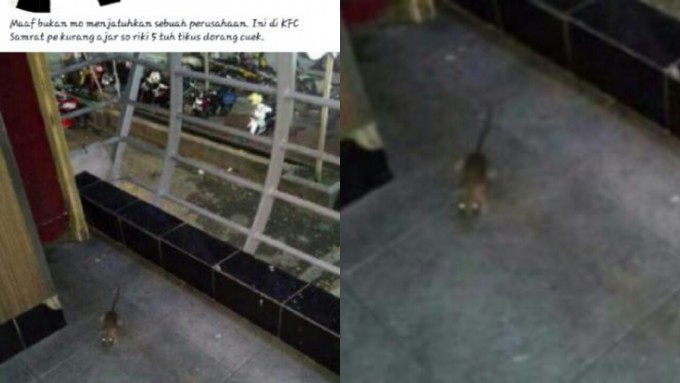 Tikus di rumah makan cepat saji
