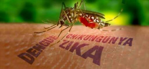 Ilustrasi Virus Zika