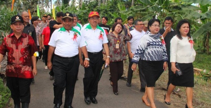 panen jagung tountalete 1