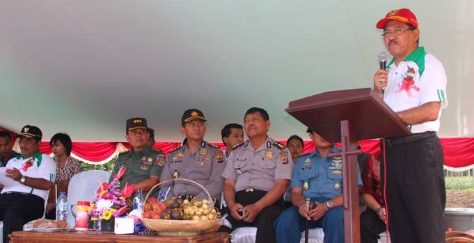 panen jagung tountalete 2