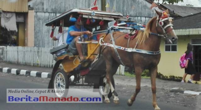Salah satu moda transportasi di pusat kota Manado dan sekitarnya, bendi