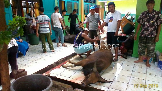 Suasana pemotongan hewan kurban di SD MIN Kota Bitung