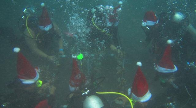 Para penyelam saat membawa salah satu meja jaring untuk transplantasi koral di kedalaman 10 meter di Pantai Kalasey.