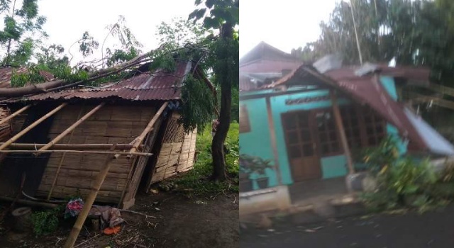 Pohon tumbang menimpah sejumlah rumah warga di Desa Watudambo.