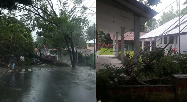 Pohon tumbang menimpah SMA PGRI Kec. Tatawaan (kanan), pohon tumbang juga sempat menutup akses jalan di dekat Denzipur Maumbi.