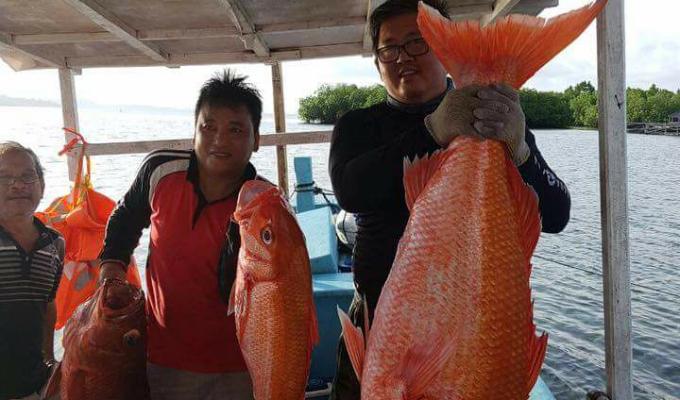 Tonny Rawung sangat dekat dengan masyarakat perikanan
