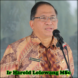 Harold Lolowang new