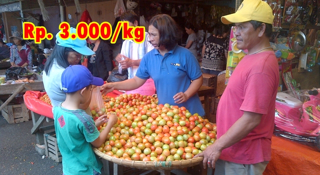 Tomat yang dioberal murah di Pasar Langowan