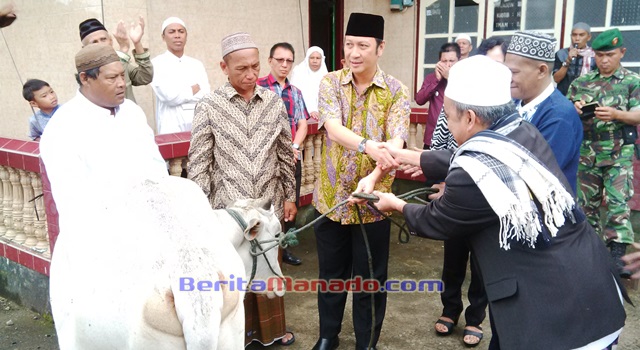 Ivan Sarundajang saat menyerahkan seekor hewan kurban kepada imam masjid Nurul Huda Kawangkoan