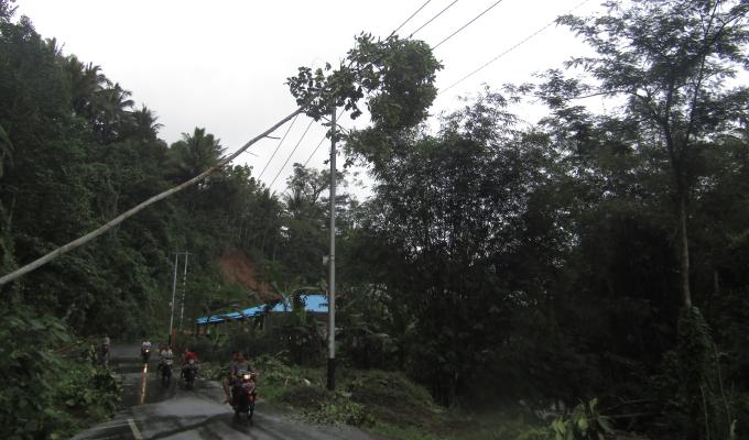 Pohon tumbang menimpa jaringan listrik di ruas Tingkulu-Koka