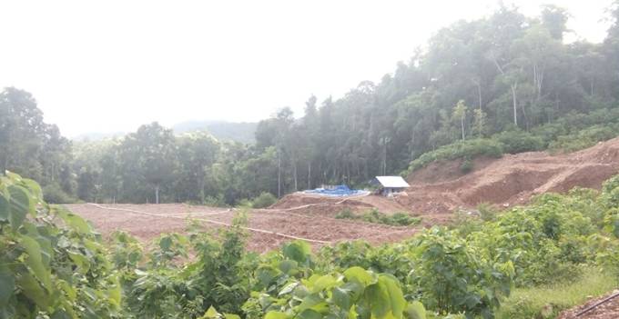 Aktivitas penambangan emas illegal di hutan Alason Ratatatotok