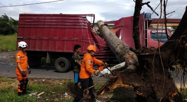 Basarnas Manado melakukan proses pemotongan batang pohon.