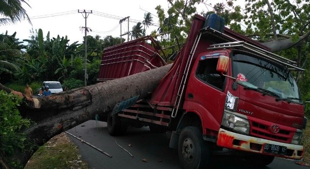 Kondisi truk yang ditimpah pohon.