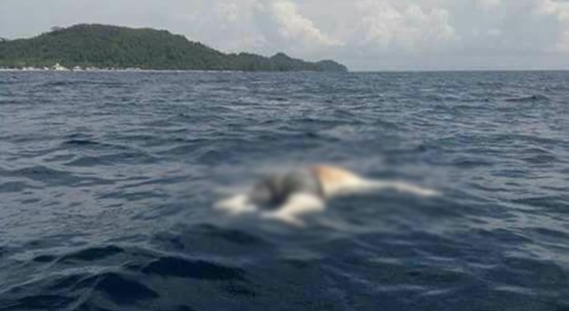 Mayat korban yang ditemukan mengambang di permukaan Laut Halmahera.(Foto:IST)