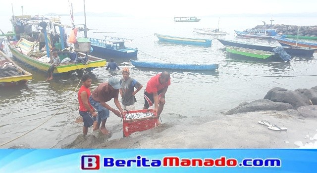 Sejumlah nelayan gotong royong mengangkat ikan dari perahu ke darat melewati tangga darurat.