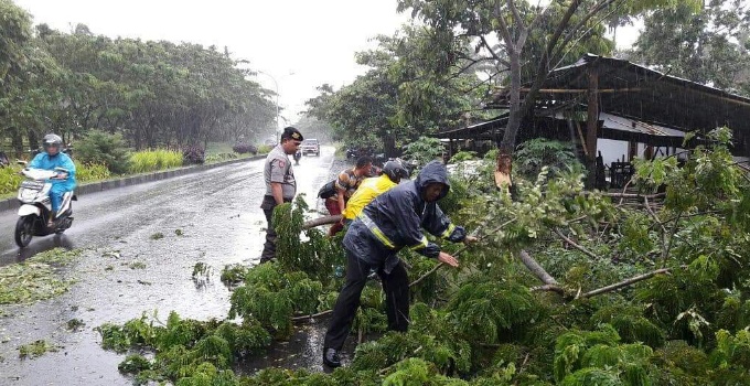 Pohon tumbang di Jalan SBY.