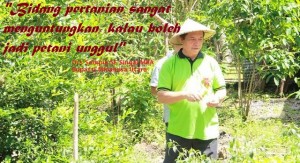 Bupati Singal Menanam dan Memanen Cabe