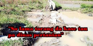‘Dicuekin’ Pemerintah, Petani Desa Wioi Mengeluh
