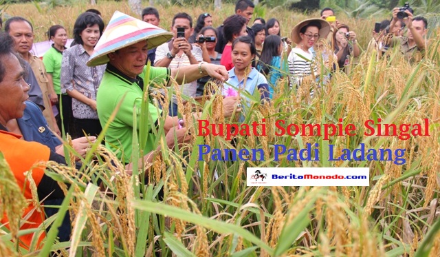 Sompie Singal: Daerah Lain Banyak Bapotong Bodok Batanam
