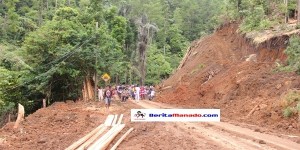 Diduga Kayu yang Ditebang di Gunung Potong Melebihi Target
