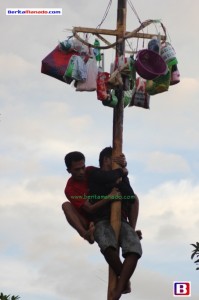 Panjat Pinang Meriahkan HUT RI di Desa Kawangkoan