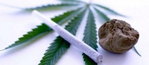 Dua Tahun Edarkan Ganja, FM Lolos Dari Amatan BNNK dan Polres Minut