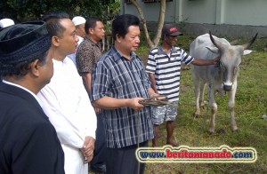 Pemkab Minut Kurbankan 10 Sapi