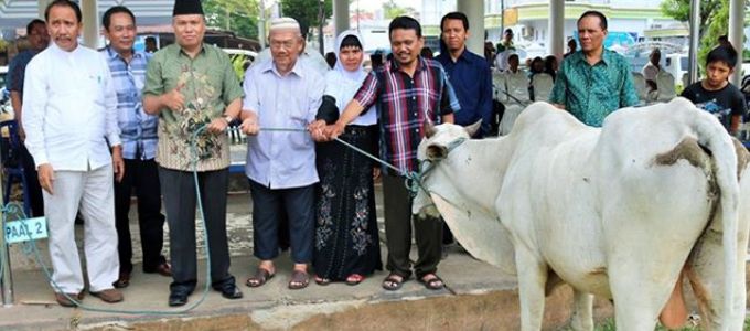11 KECAMATAN Terima Hewan Qurban Pemkot Manado