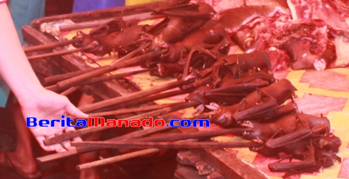 Minahasa Waspada Ebola