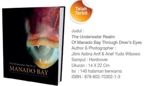 The Underwater Realm of MANADO BAY