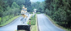 Belajar Kebun Raya, 25 Anggota DPRD Mitra Ramai-ramai ke Bali