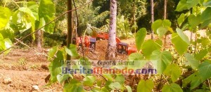 Perusahaan Asing Tak Berizin Kembali Beraktivitas di Alason, Pemerintah Jangan ‘Tutup Mata’