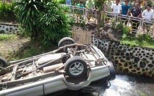 Oleng, Kijang Krista Ini Terjun ke Sungai