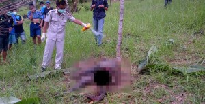 Hendrik Ditemukan Tewas Membusuk di Perkebunan Wowol
