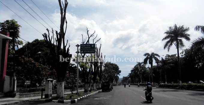 BERITA FOTO : Nasib Pohon Perindang Bitung
