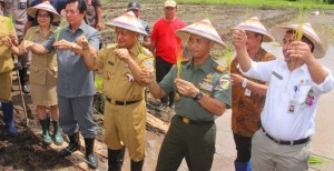 Wagub Sulut Canangkan Upsus Peningkatan Produksi Pangan di Minut