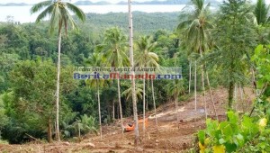 BERITA FOTO: BJE Terus Melakukan Kegiatannya di Alason Ratatotok