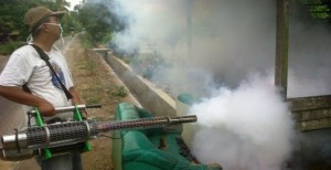 Waspada! Fogging Bisa Picu Kanker