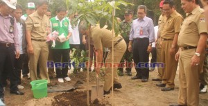 Pemkab Minahasa – PT. PGE Wujudkan Keseimbangan Alam