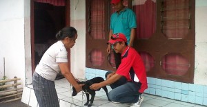 Pemdes tak Pro Aktif, Petugas Kesulitan Lakukan Vaksin Rabies