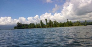 BERITA FOTO: Indahnya Hutan Bakau di Tengah Pulau