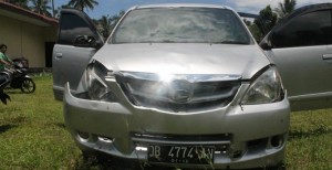 Coba Kabur, Mobil Doger Anjing Ini Malah Ringsek