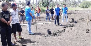 Pulihkan Wilayah Pesisir, KNPI Mitra Tanam Mangrove