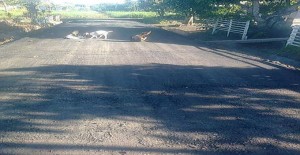 GERAK: Kualitas Jalan Desa di Mitra Buruk
